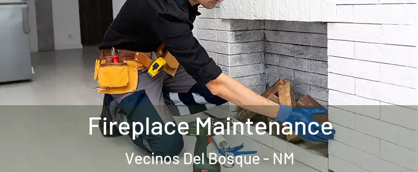 Fireplace Maintenance Vecinos Del Bosque - NM