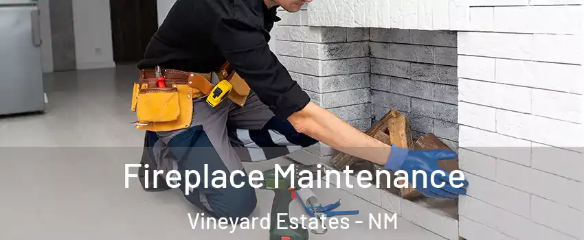 Fireplace Maintenance Vineyard Estates - NM