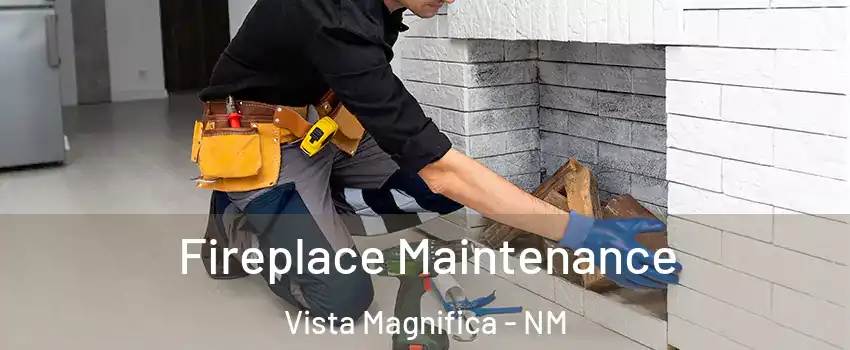 Fireplace Maintenance Vista Magnifica - NM