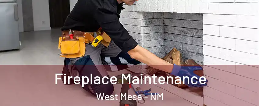 Fireplace Maintenance West Mesa - NM