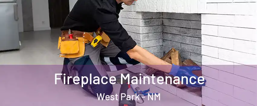 Fireplace Maintenance West Park - NM
