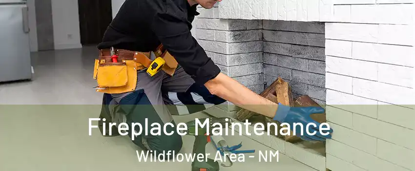 Fireplace Maintenance Wildflower Area - NM