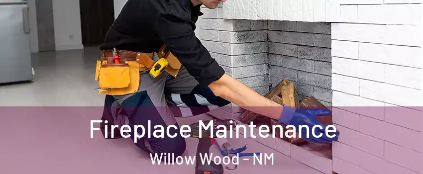 Fireplace Maintenance Willow Wood - NM