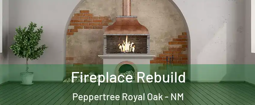Fireplace Rebuild Peppertree Royal Oak - NM