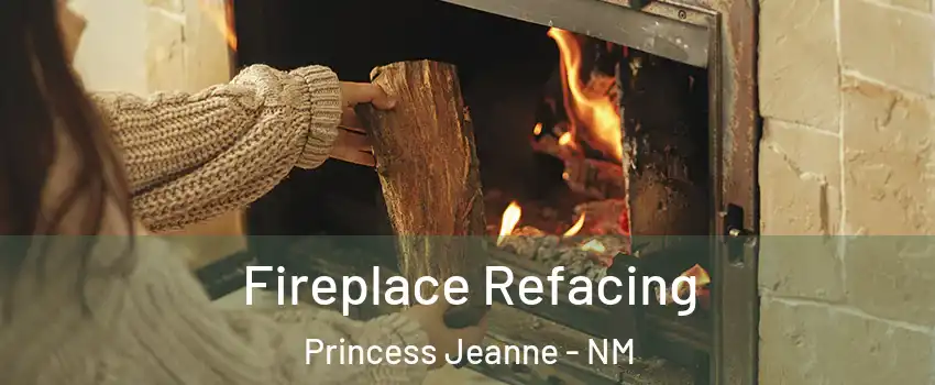 Fireplace Refacing Princess Jeanne - NM