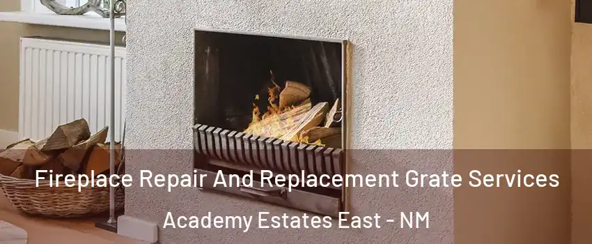 Fireplace Repair And Replacement Grate Services Academy Estates East - NM