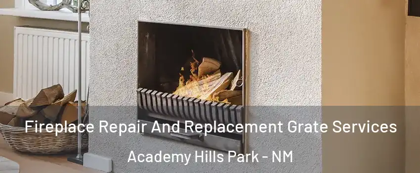 Fireplace Repair And Replacement Grate Services Academy Hills Park - NM