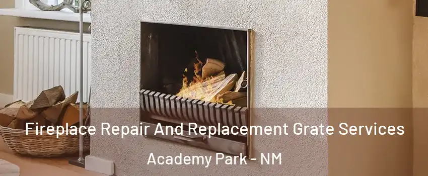Fireplace Repair And Replacement Grate Services Academy Park - NM