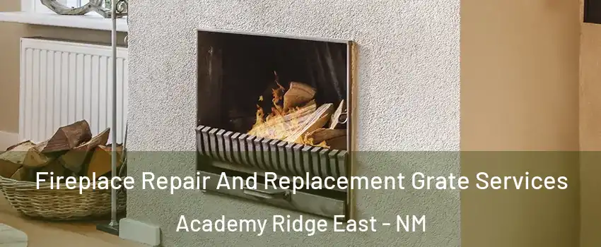 Fireplace Repair And Replacement Grate Services Academy Ridge East - NM