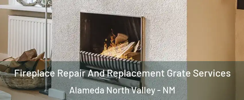 Fireplace Repair And Replacement Grate Services Alameda North Valley - NM