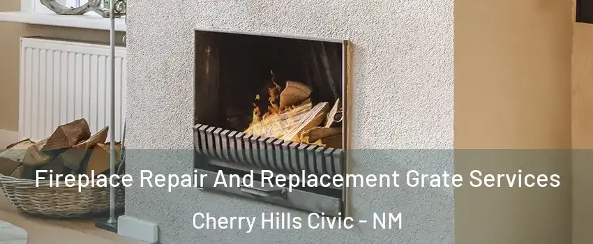 Fireplace Repair And Replacement Grate Services Cherry Hills Civic - NM