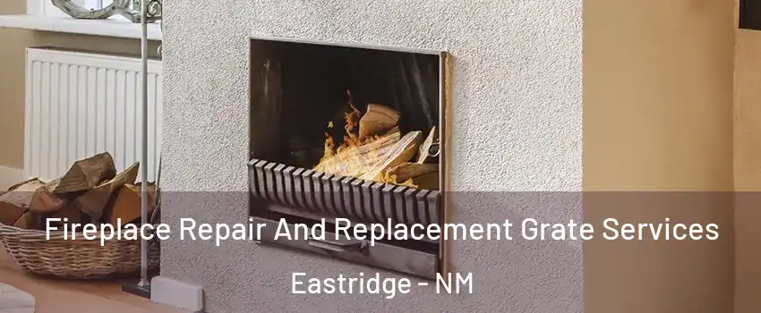 Fireplace Repair And Replacement Grate Services Eastridge - NM