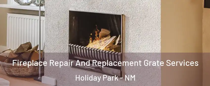 Fireplace Repair And Replacement Grate Services Holiday Park - NM