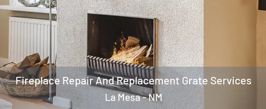 Fireplace Repair And Replacement Grate Services La Mesa - NM