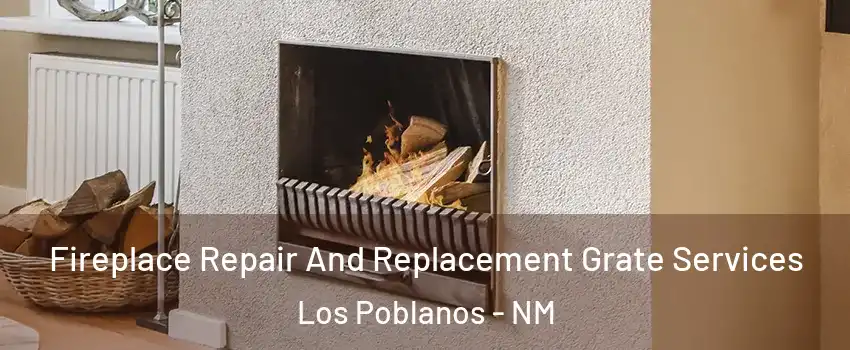 Fireplace Repair And Replacement Grate Services Los Poblanos - NM