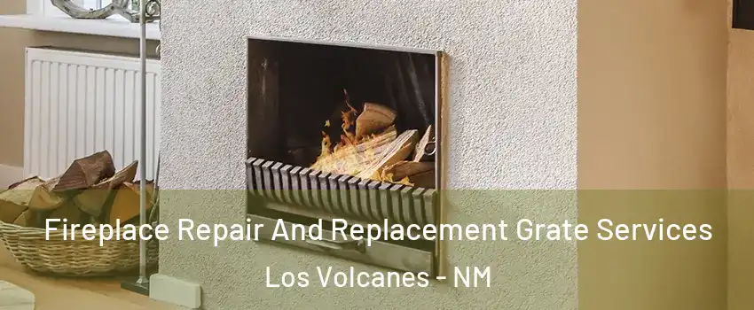 Fireplace Repair And Replacement Grate Services Los Volcanes - NM