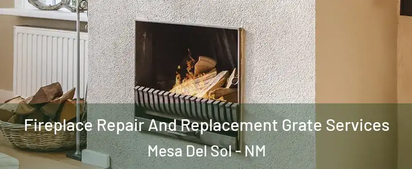 Fireplace Repair And Replacement Grate Services Mesa Del Sol - NM