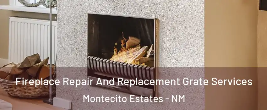 Fireplace Repair And Replacement Grate Services Montecito Estates - NM