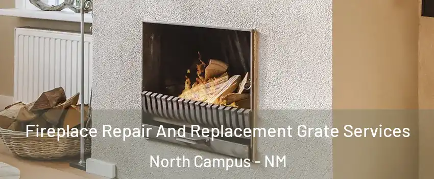 Fireplace Repair And Replacement Grate Services North Campus - NM