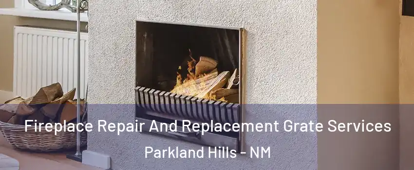 Fireplace Repair And Replacement Grate Services Parkland Hills - NM