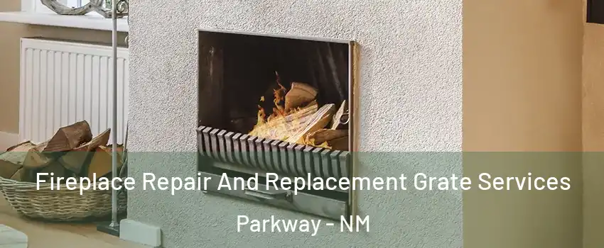 Fireplace Repair And Replacement Grate Services Parkway - NM