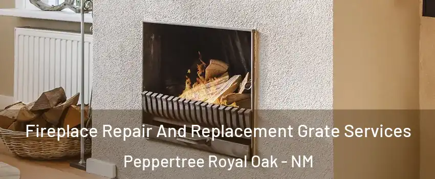 Fireplace Repair And Replacement Grate Services Peppertree Royal Oak - NM