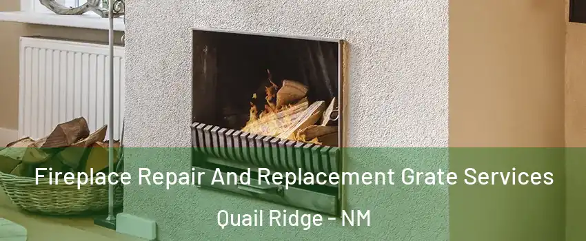 Fireplace Repair And Replacement Grate Services Quail Ridge - NM