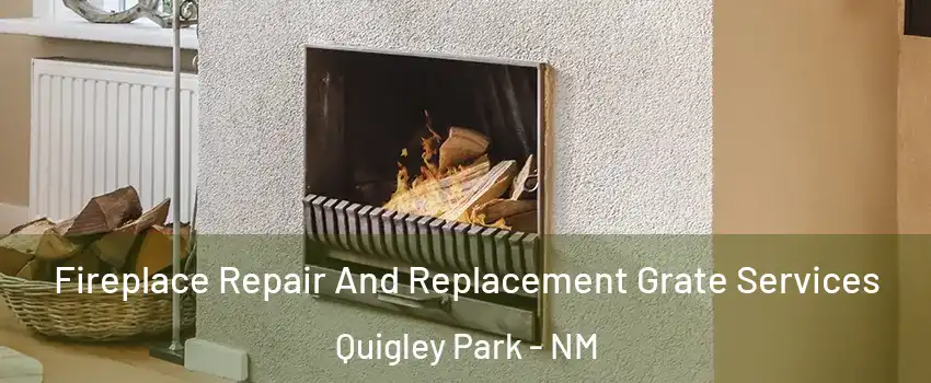 Fireplace Repair And Replacement Grate Services Quigley Park - NM