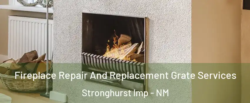 Fireplace Repair And Replacement Grate Services Stronghurst Imp - NM
