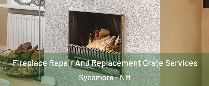 Fireplace Repair And Replacement Grate Services Sycamore - NM