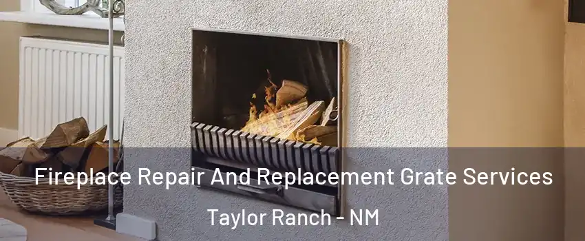Fireplace Repair And Replacement Grate Services Taylor Ranch - NM