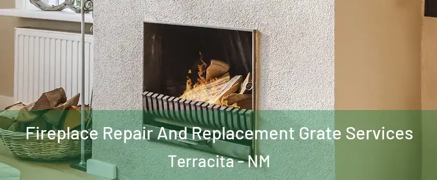 Fireplace Repair And Replacement Grate Services Terracita - NM