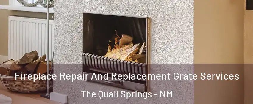 Fireplace Repair And Replacement Grate Services The Quail Springs - NM