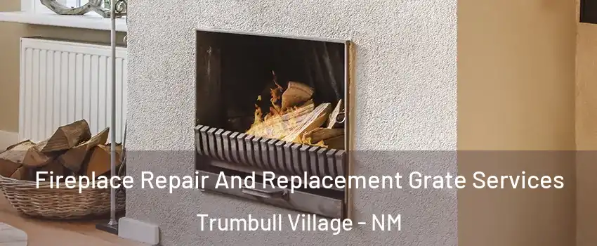 Fireplace Repair And Replacement Grate Services Trumbull Village - NM