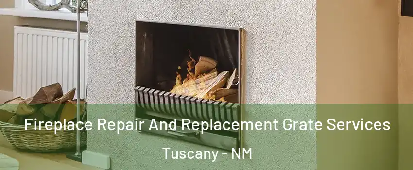 Fireplace Repair And Replacement Grate Services Tuscany - NM