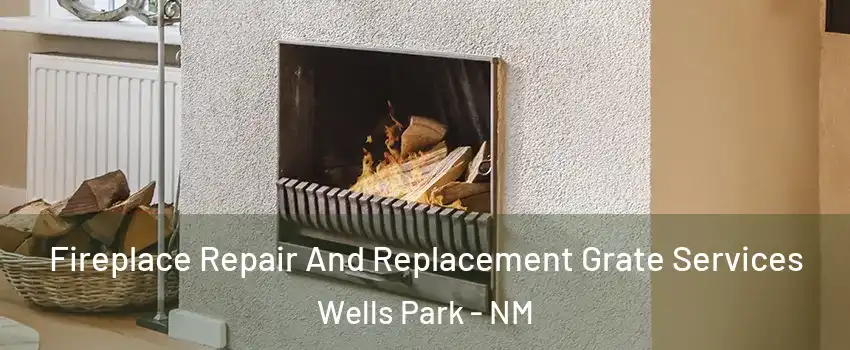Fireplace Repair And Replacement Grate Services Wells Park - NM