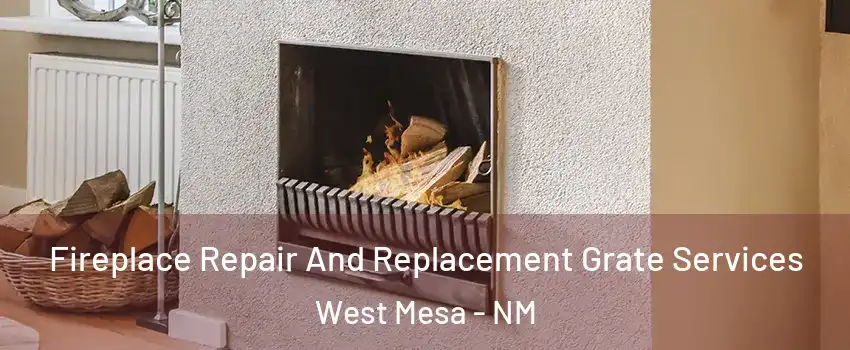 Fireplace Repair And Replacement Grate Services West Mesa - NM
