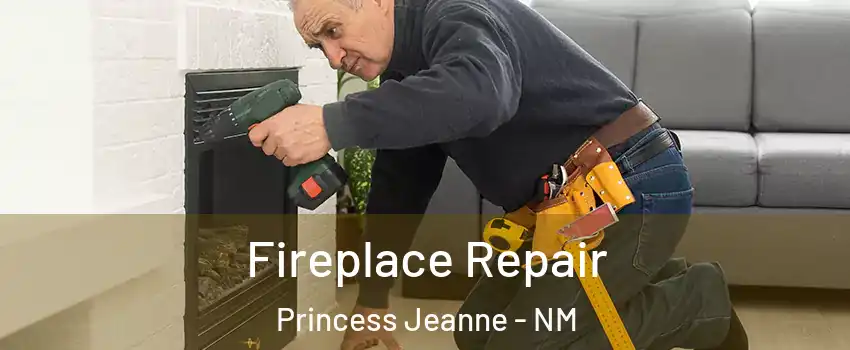 Fireplace Repair Princess Jeanne - NM