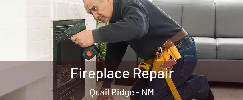 Fireplace Repair Quail Ridge - NM
