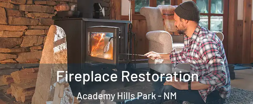 Fireplace Restoration Academy Hills Park - NM