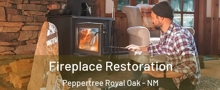 Fireplace Restoration Peppertree Royal Oak - NM