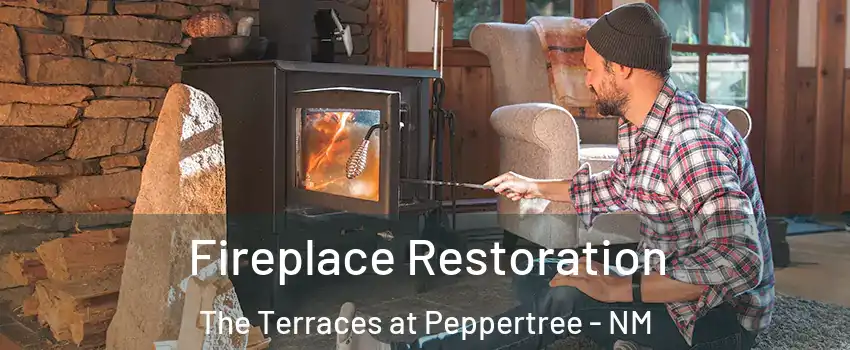Fireplace Restoration The Terraces at Peppertree - NM