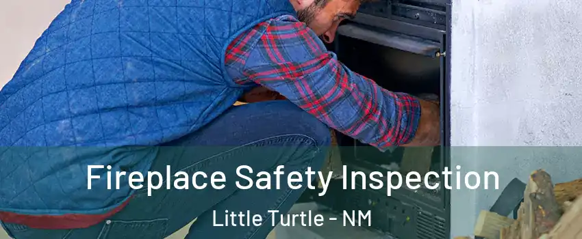 Fireplace Safety Inspection Little Turtle - NM