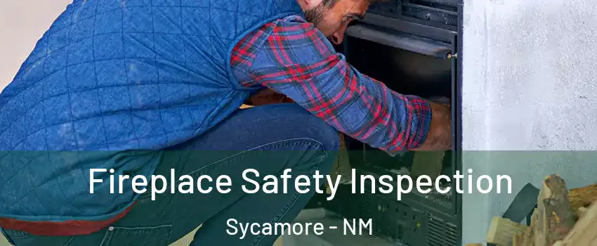 Fireplace Safety Inspection Sycamore - NM