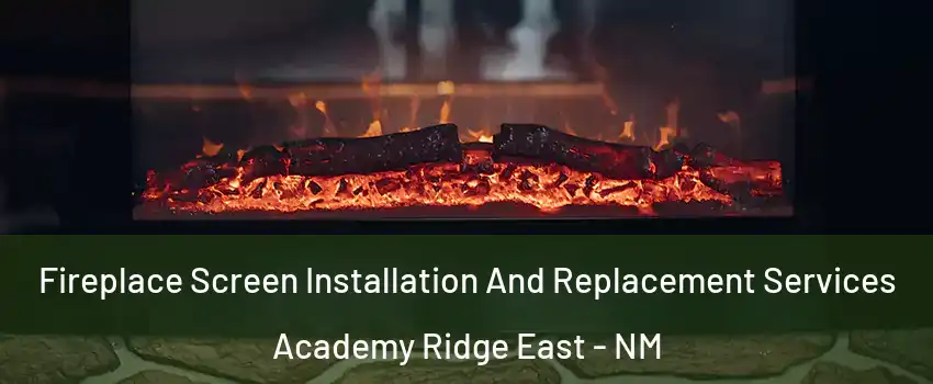 Fireplace Screen Installation And Replacement Services Academy Ridge East - NM