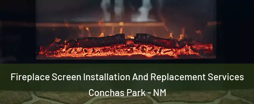 Fireplace Screen Installation And Replacement Services Conchas Park - NM