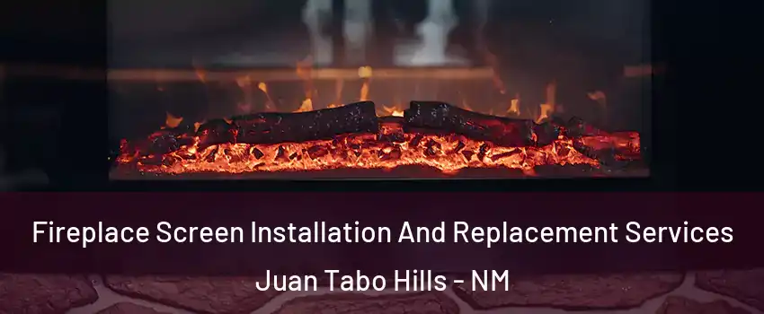 Fireplace Screen Installation And Replacement Services Juan Tabo Hills - NM