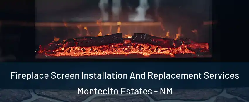 Fireplace Screen Installation And Replacement Services Montecito Estates - NM