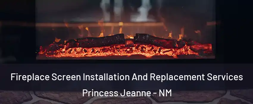 Fireplace Screen Installation And Replacement Services Princess Jeanne - NM