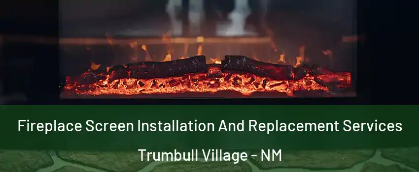 Fireplace Screen Installation And Replacement Services Trumbull Village - NM